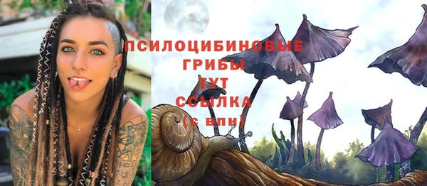 дурь Арсеньев