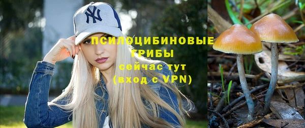 дурь Арсеньев
