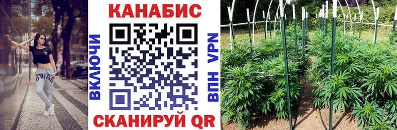 МАРИХУАНА план  Курганинск 